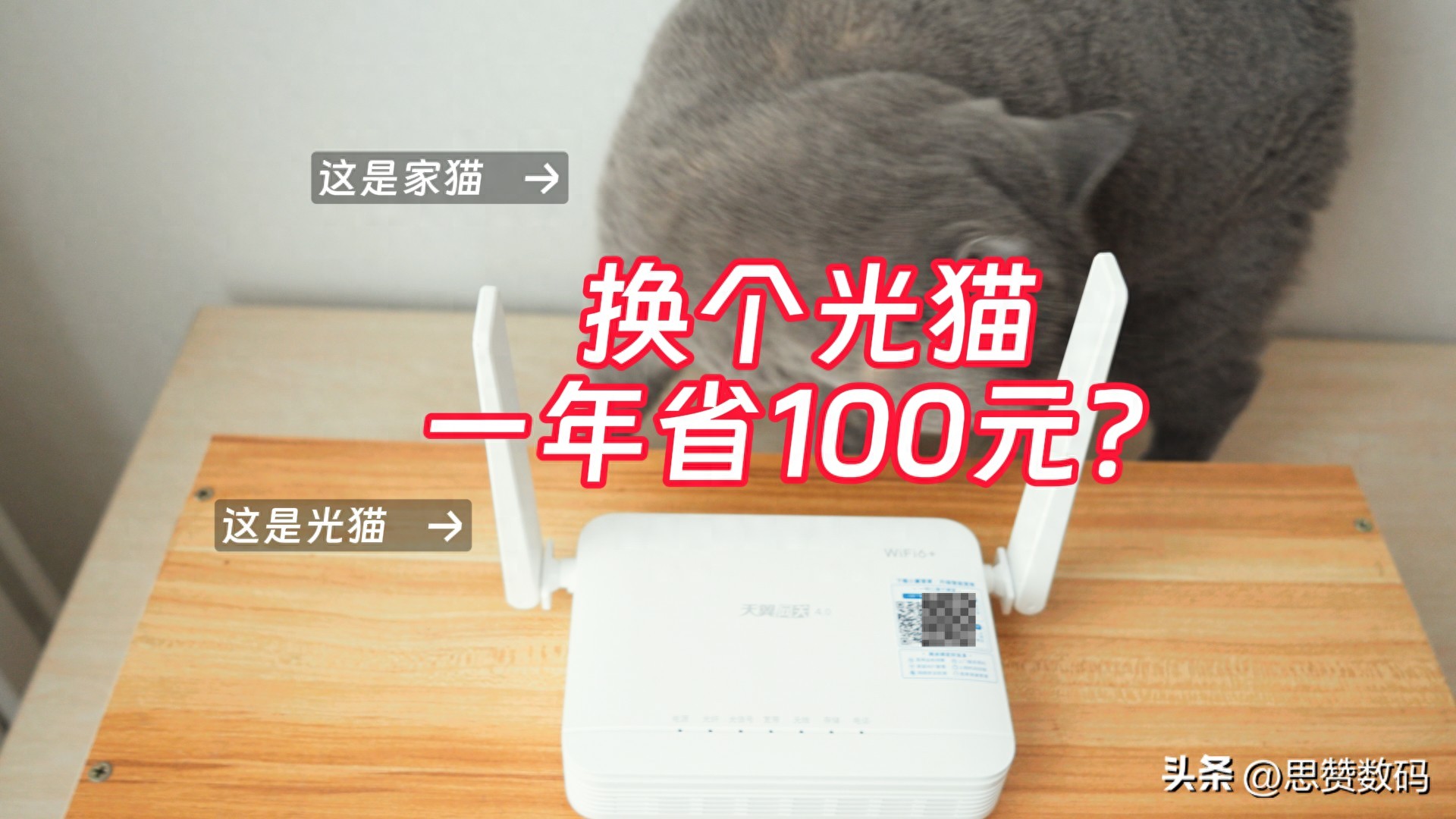 电信网换猫要钱吗_电信公司更换猫需要花钱吗_换电信光猫有什么注意的