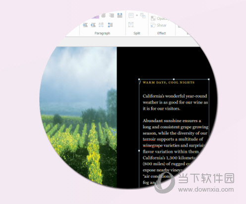 福昕高级PDF编辑器会员破解版