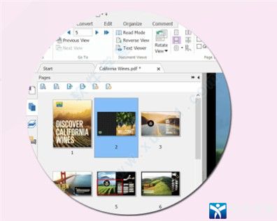 破解pdf编辑器_pdf页面删除器破解版_pdf文档破解器