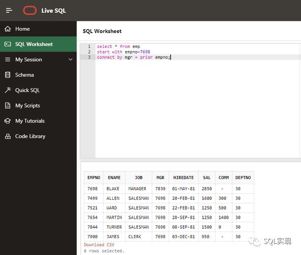 sql模拟器安卓_数据库模拟数据_在线sql数据库模拟器