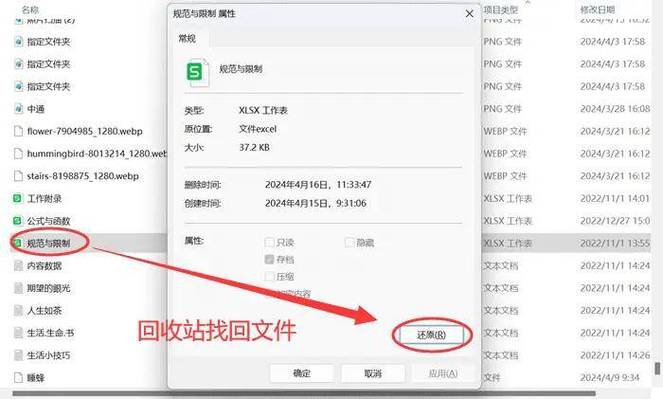 桌面删除回收站没东西_桌面文件被删除回收站看不到_回收站已删除文件