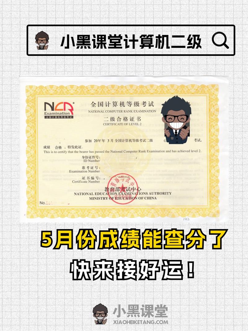 数据库与程序设计_数据库的程序设计_数据库程序设计基础