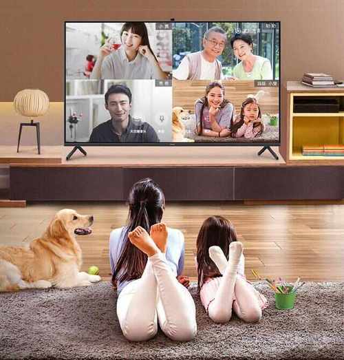 电信宽带不用手机卡可以吗_电信没有手机号可以办宽带吗_中国电信没手机号能装宽带