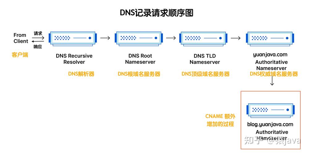查看电脑的dns信息_查看自己电脑dns_如何查看电脑本机dns