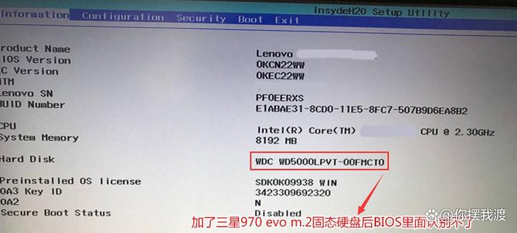 电脑序列号查询软件_序列查询电脑软件号是什么_电脑软件序列号怎么查